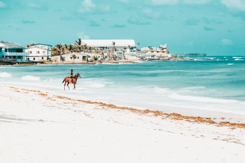 Man Riding On A Horse 