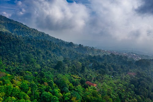 Photographie Aérienne De Maisons Entourées D'arbres Forestiers Sous Un Ciel Nuageux