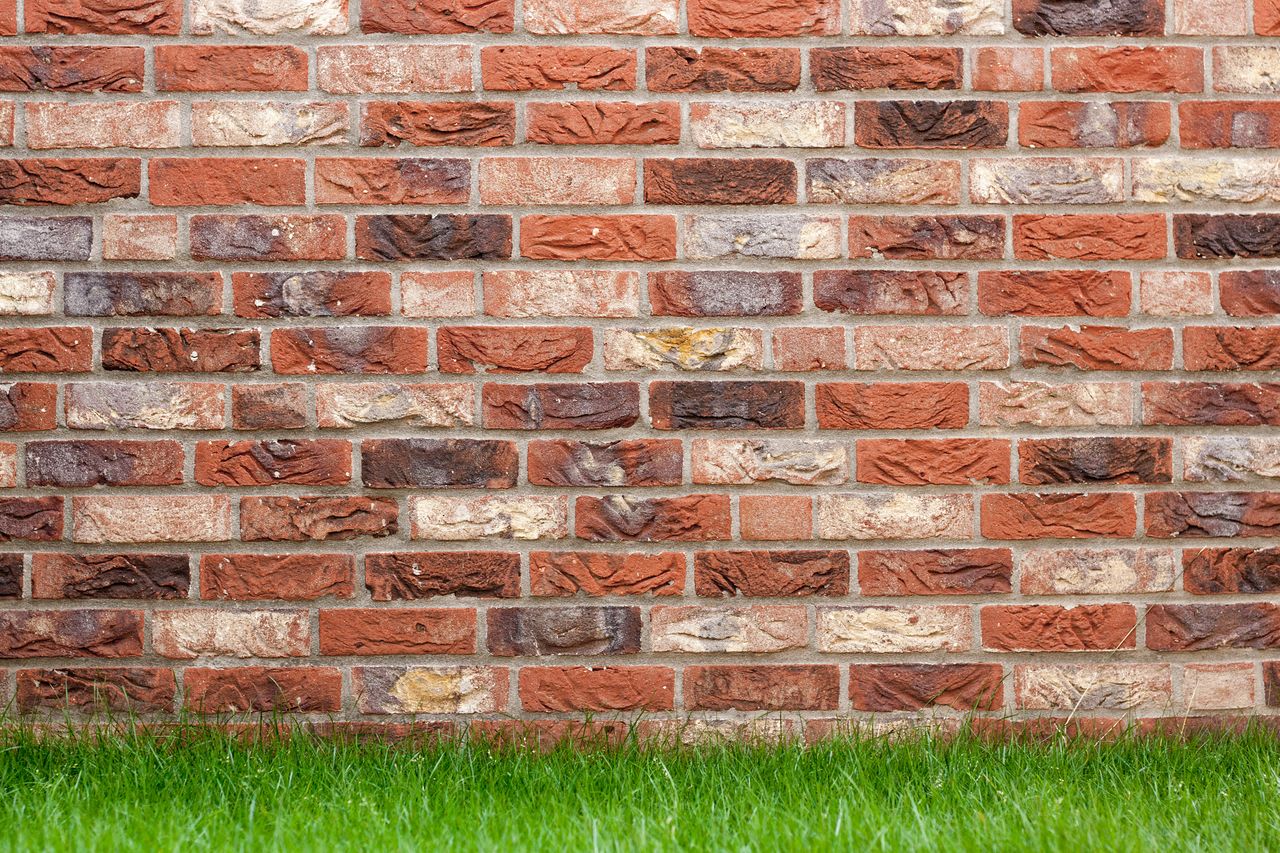 a textured red brick wall with fresh green grass at the base ideal for