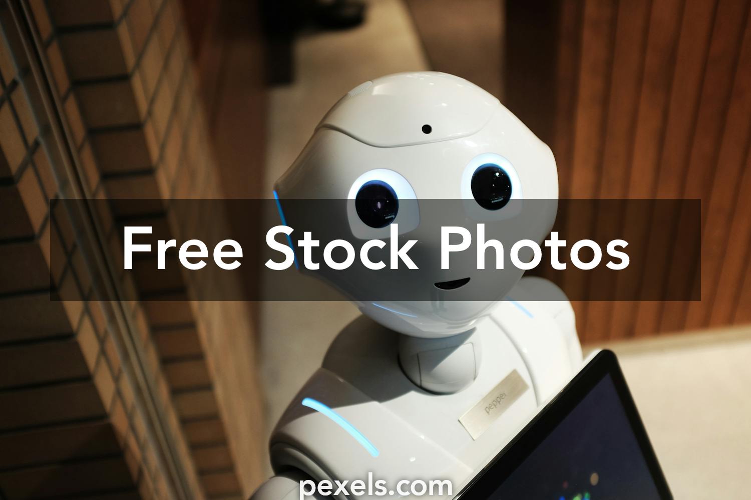 Robot Photos, Download The BEST Free Robot Stock Photos & HD Images