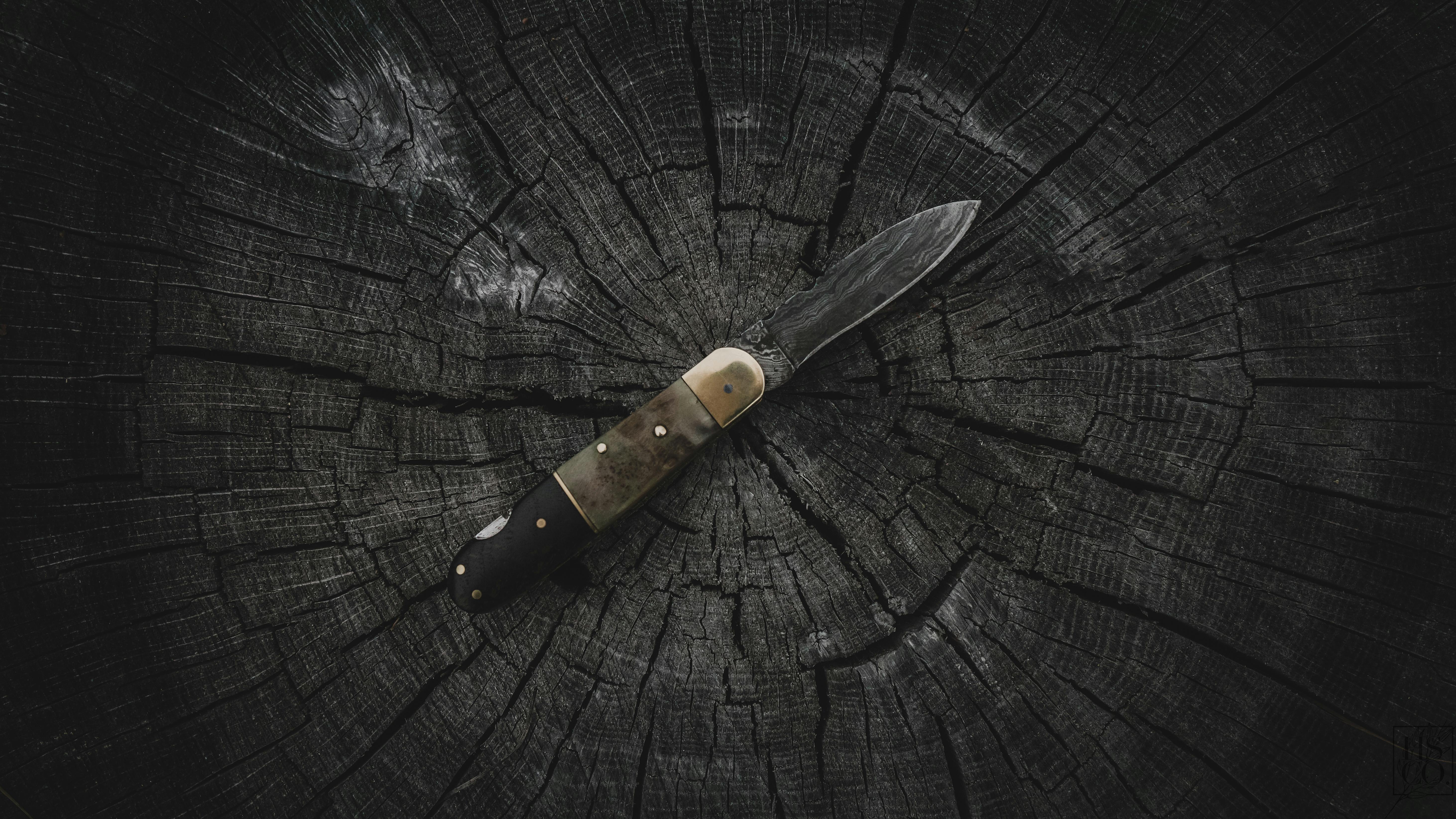 350 Knife Pictures HD  Download Free Images on Unsplash