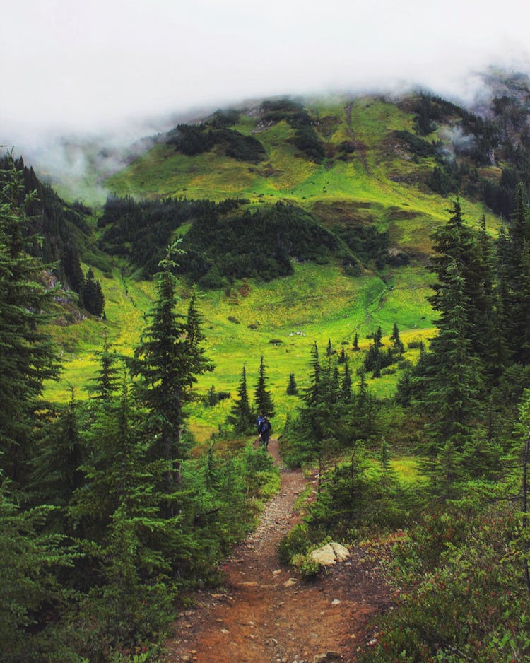 Photo Of Person Walking On Unpaved Pathway