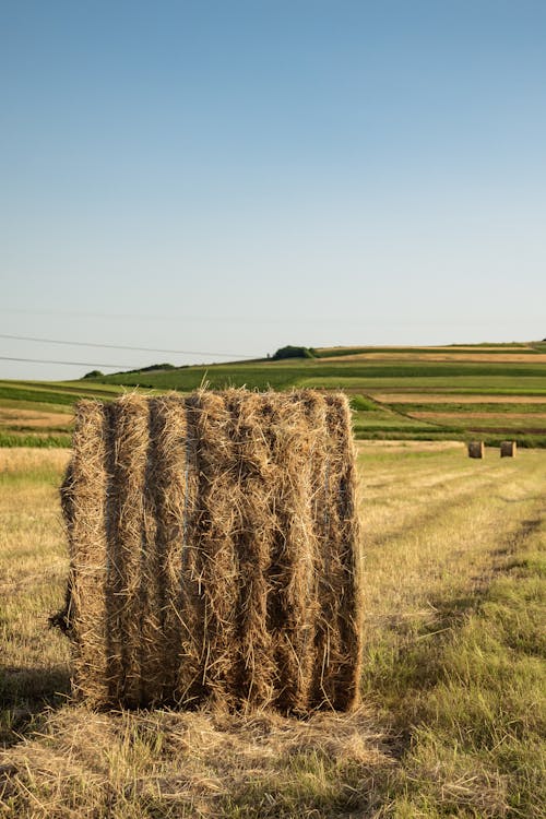 Photo De Balle De Foin Sur Terrain En Herbe