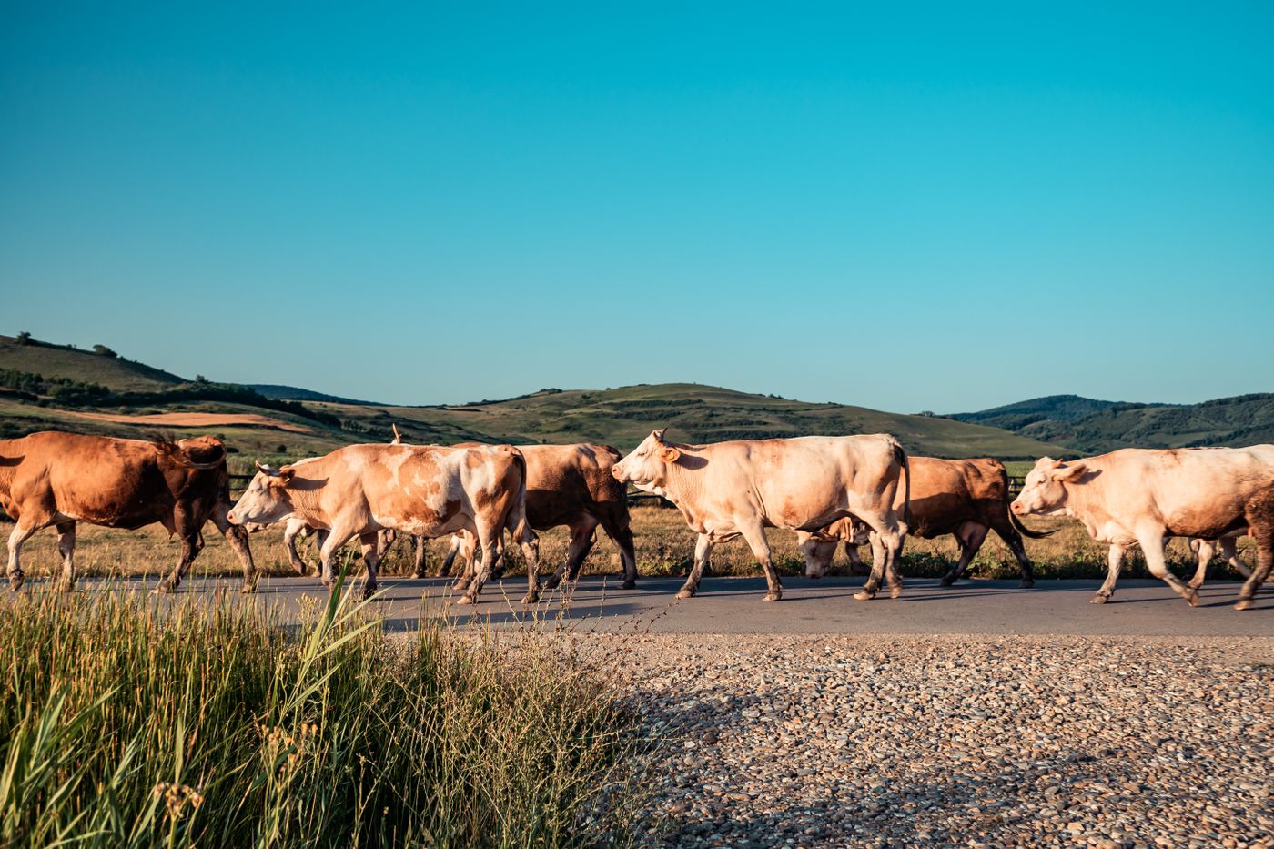 Agriculture operations
