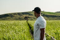 一个穿着白衬衫的男人站在郁郁葱葱的田野中，在日光下观察着乡村景色