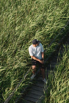 夏日乡村，高高的草丛环绕着一座木桥，桥上坐着一位身着休闲服装的男人
