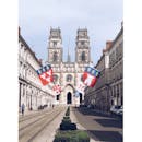 白天，奥尔良大教堂的壮丽景色与旗帜、古典建筑相映成趣