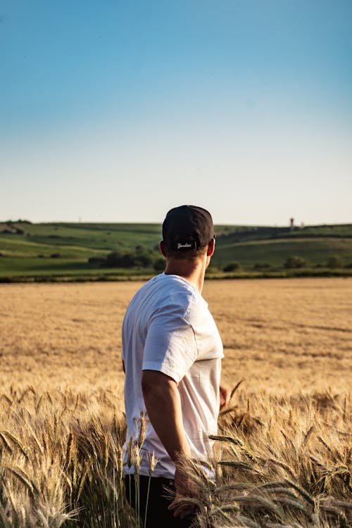 Photo of a Man in a Wheat Field