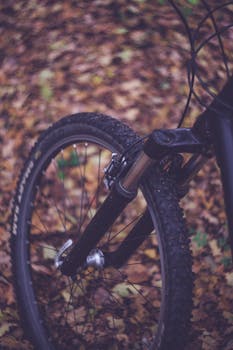 A mountain bike tire with suspension on a trail covered in autumn leaves shows adventure.