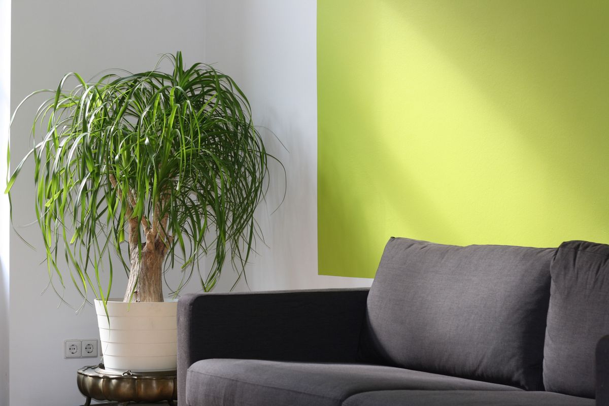 Make Small Living Rooms Feel Warm and Open