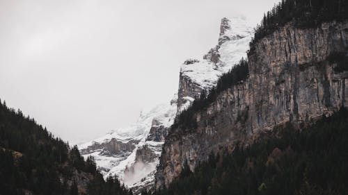 Ingyenes stockfotó Alpok, fák, festői témában