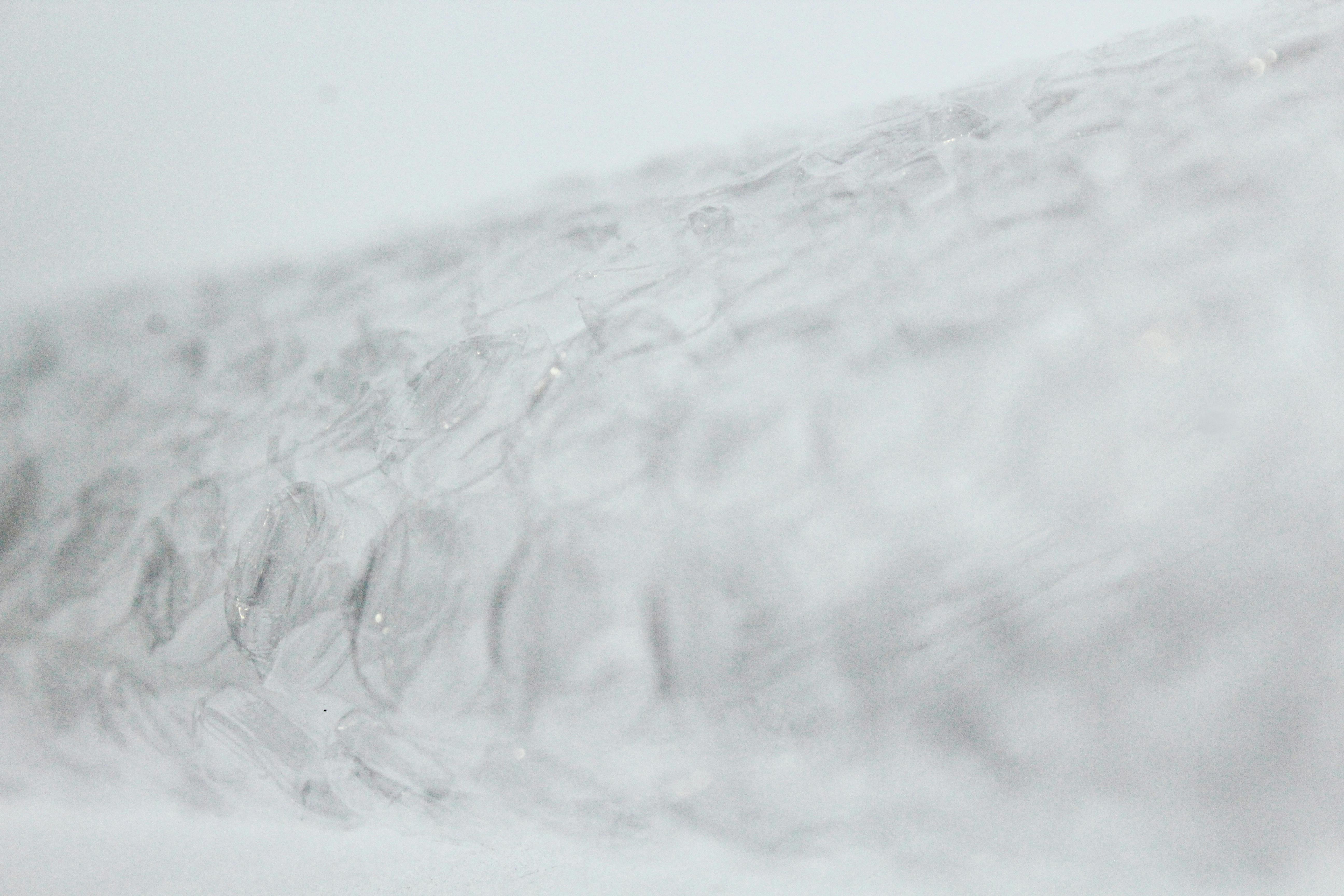 Free stock photo of air bubbles, bubble plastic, bubbles