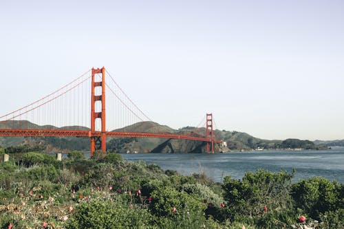 Fotobanka s bezplatnými fotkami na tému architektúra, Golden Gate Bridge, Kalifornia