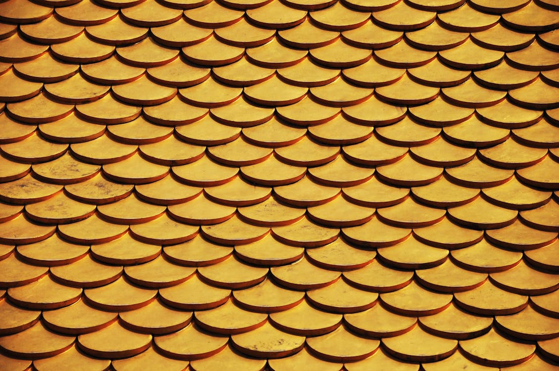 Photo of Cone Pattern