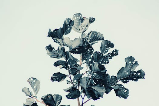 高对比度的艺术图像捕捉了树叶与明亮天空的纹理，展现了大自然的细节