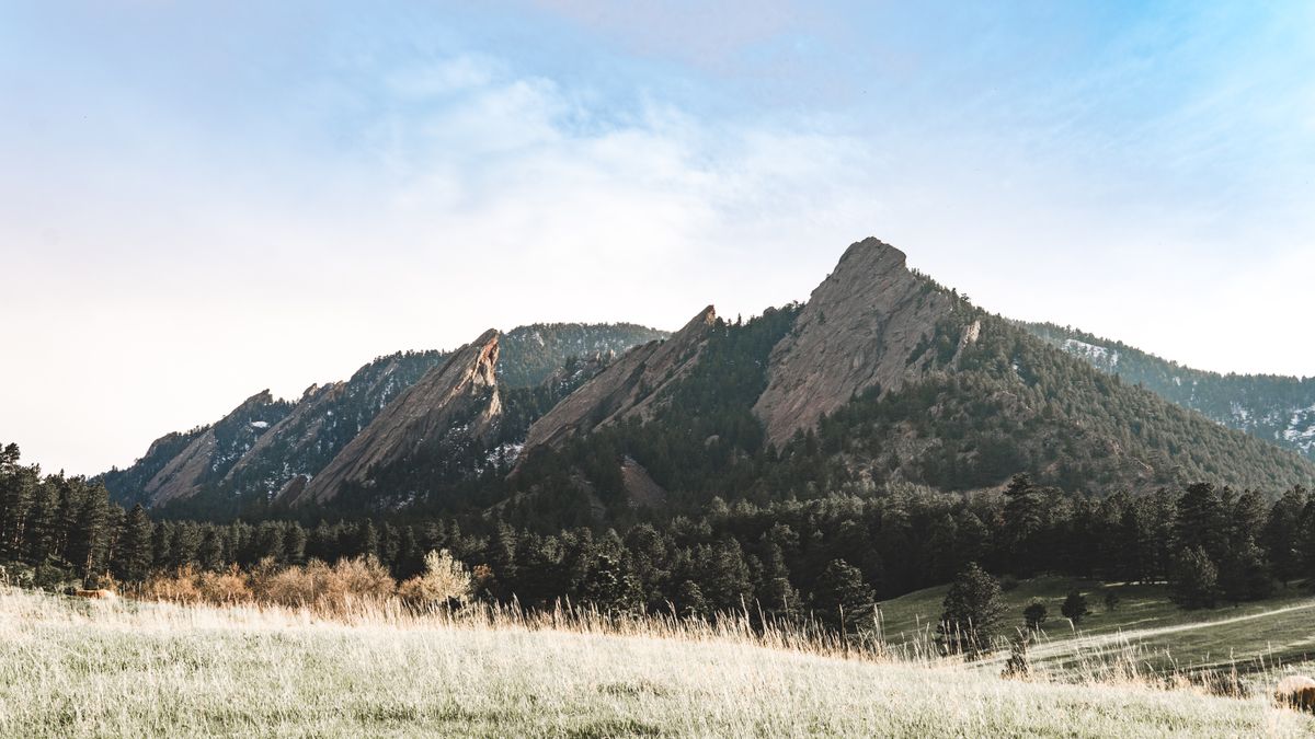 Top Colorado Springs, CO Cash Prize Sweepstakes With No Purchase Necessary: Safe Entry Guide