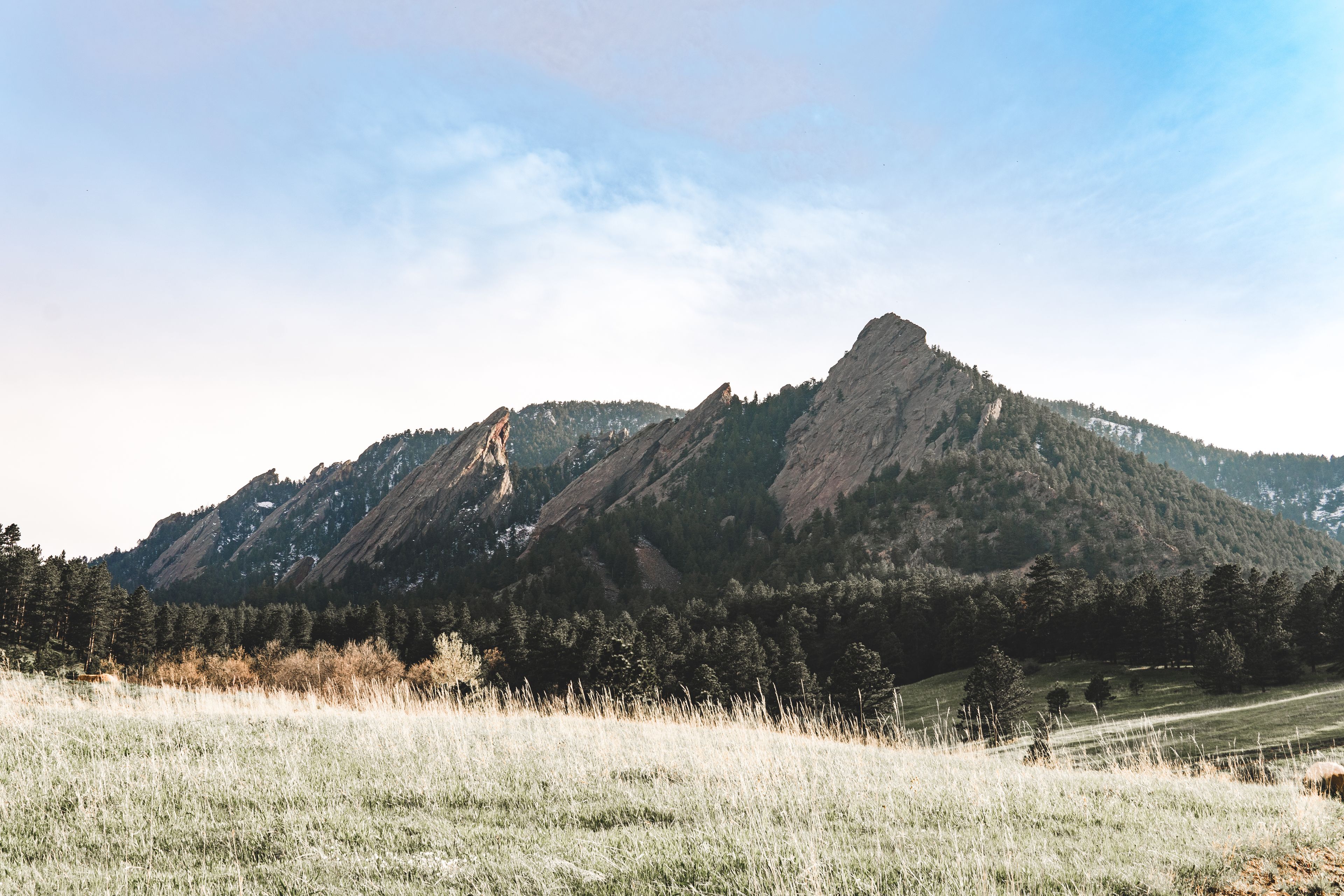 Boulder: Boulder's Flatirons rising above a grassy meadow