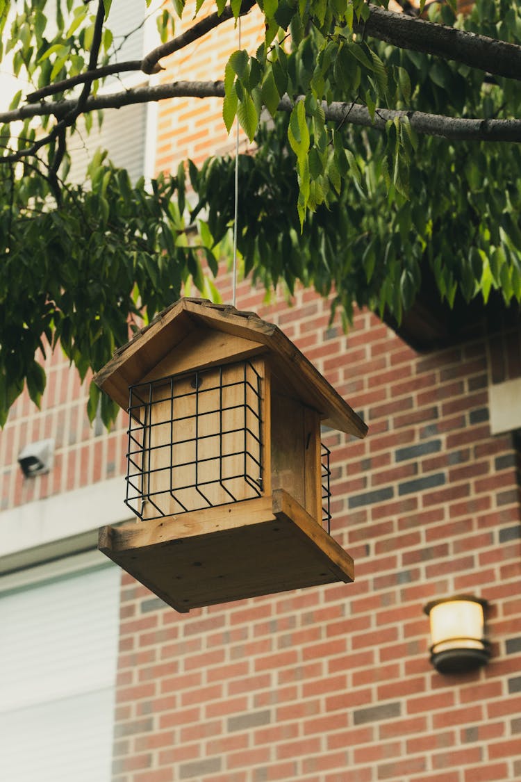 Low-angle Photo Of Hanging Birdhouse On Tree