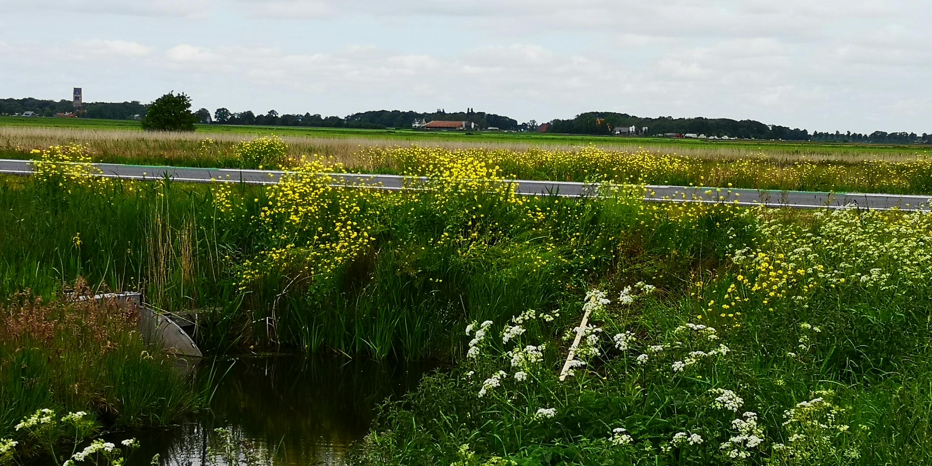 Hampshire area