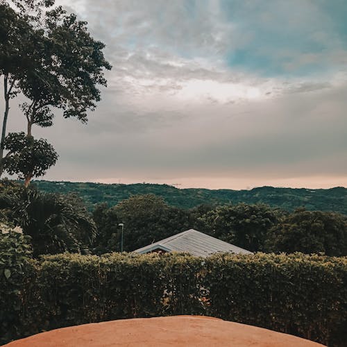 Free stock photo from Marfil Graganza · Pexels Free stock photo from Marfil Graganza · Pexels - 500 x 500 jpeg 35kB
