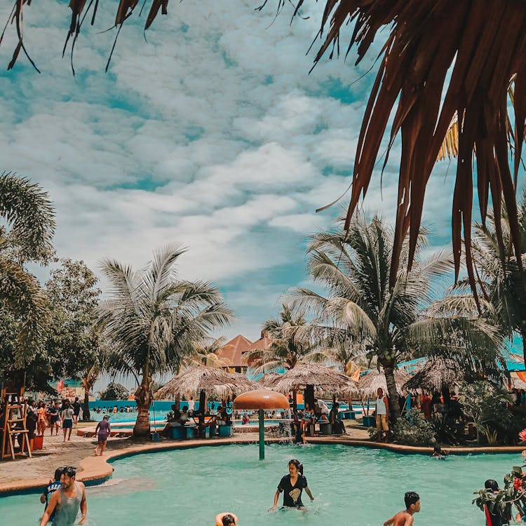 Photo of People Swimming in Pool