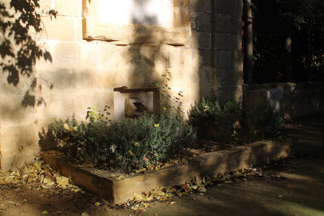 fuente de San Telmo - fotografía 4