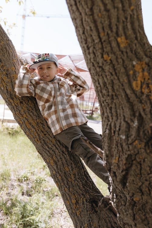 A boy in a plaid shirt is hanging from a tree