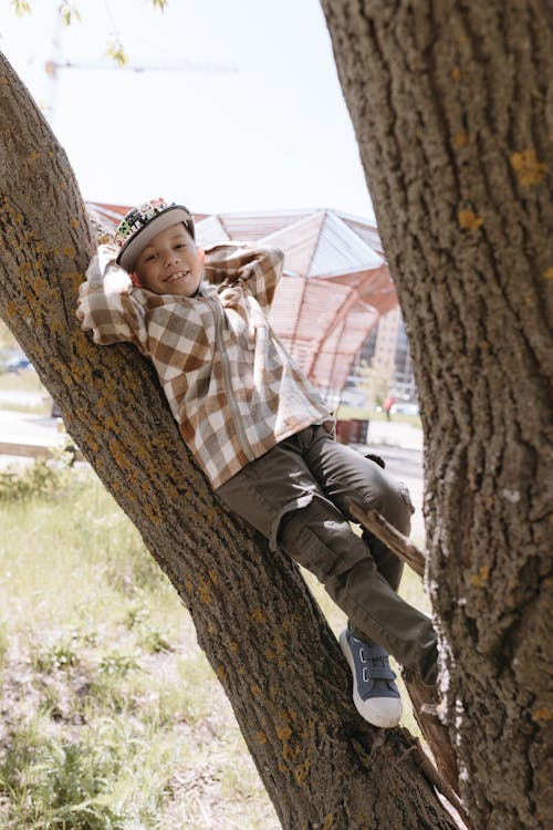 A boy is sitting on a tree branch