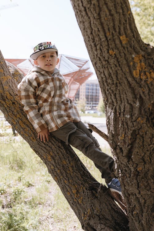A boy is sitting on a tree branch