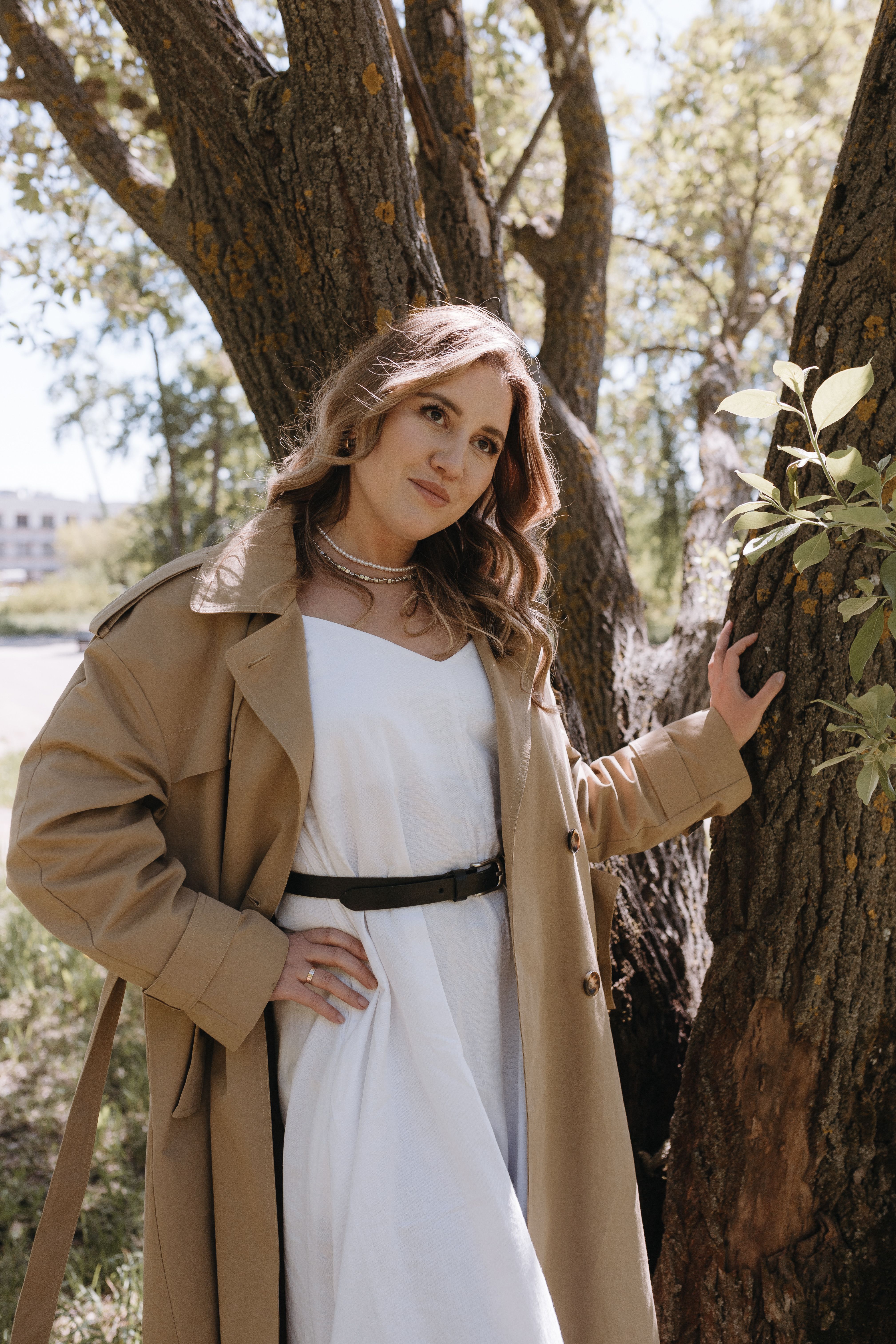 Foto de stock gratuita sobre @al aire libre, accesorios, al aire libre ...