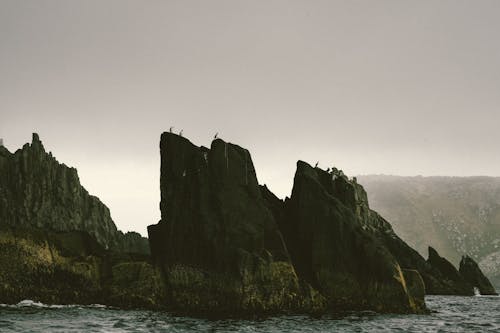açık hava, ada, alaca karabatak içeren Ücretsiz stok fotoğraf