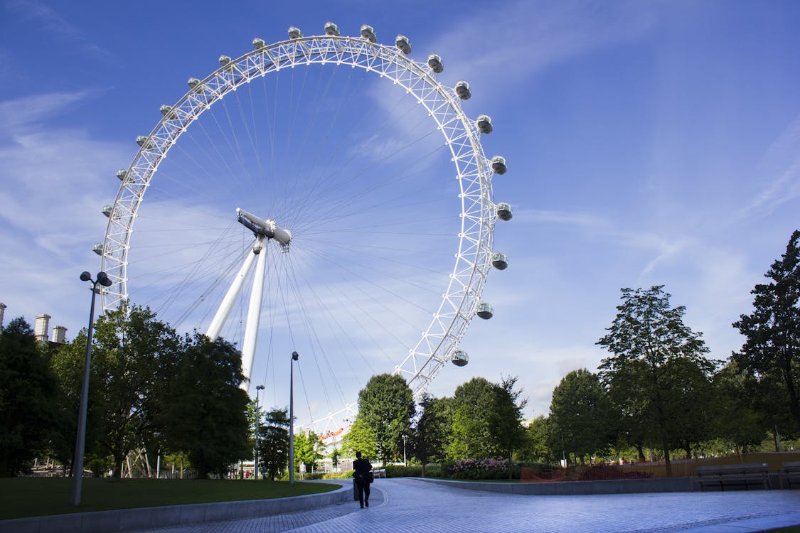Безкоштовне стокове фото на тему «дерева, Лондонське око, оглядове колесо» стокове фото