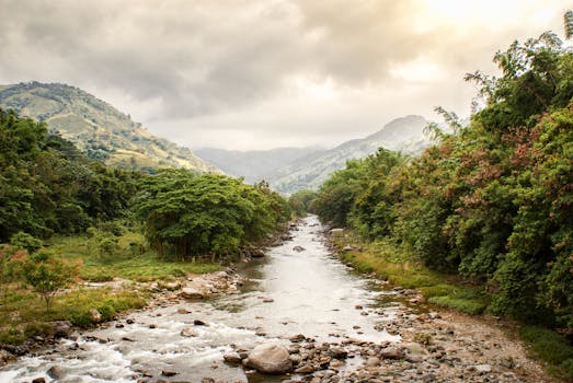 在宁静的山谷中，一条宁静的河流在多云的天空下，于郁郁葱葱的森林与山脉之间流淌