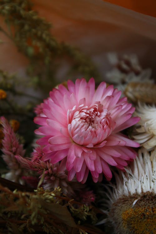 Foto profissional grátis de buquê, cor-de-rosa, flor