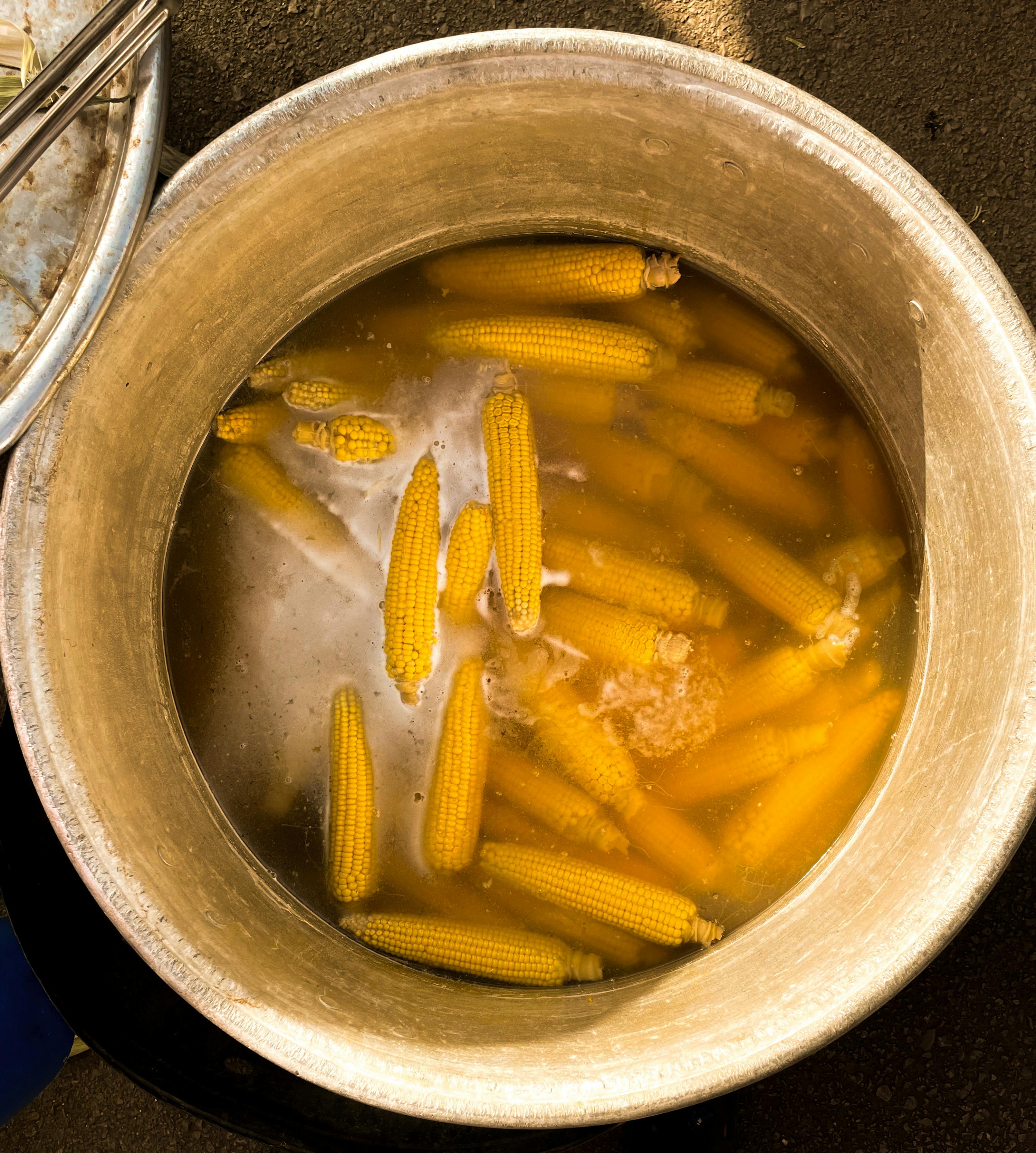 Gratis lagerfoto af corn festival, ernæring, fødevare marked Lagerfoto