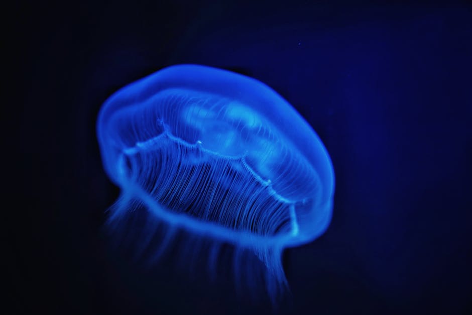 Uncovering the Mysteries of Underwater Alien Bases