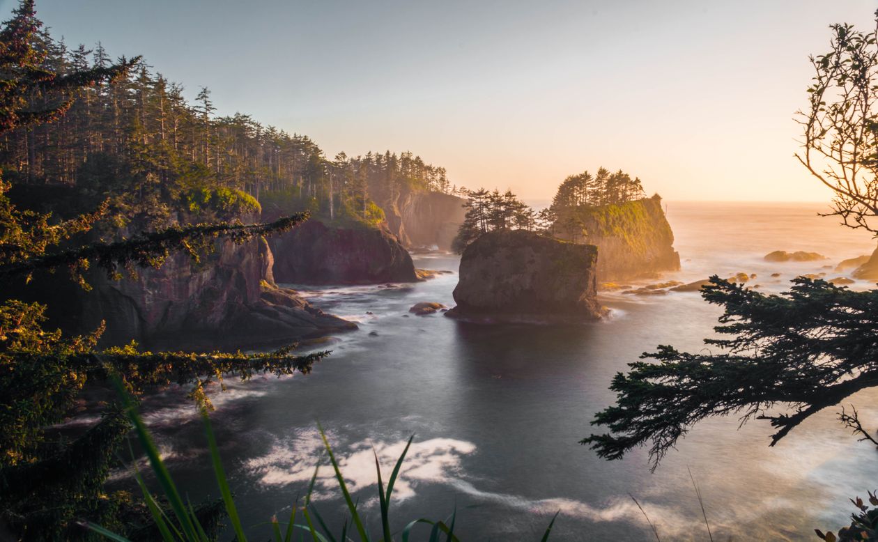 Forested coastline at sunset