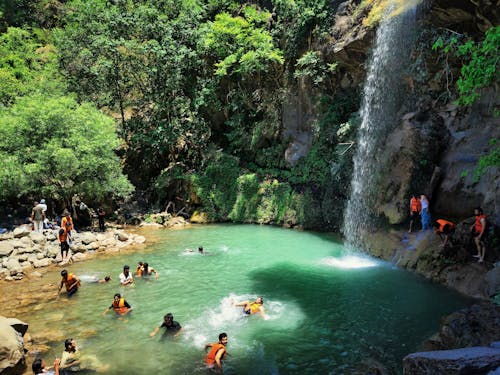 Fotos de stock gratuitas de agua, al aire libre, árbol