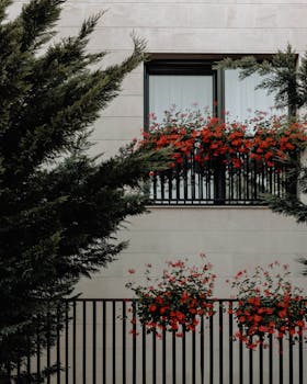 房屋外观时尚现代，红花充满活力，金属围栏优雅
