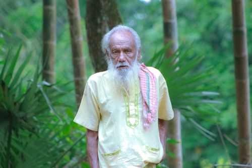 Free Portrait of an elderly man with a gray beard wearing a yellow shirt and standing in a lush green forest. Stock Photo