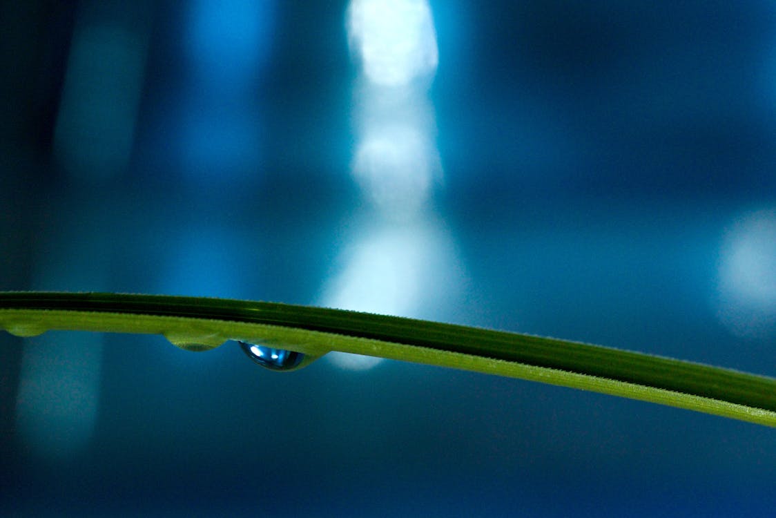 blue droplet 2