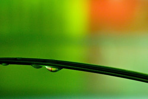 green and red droplet