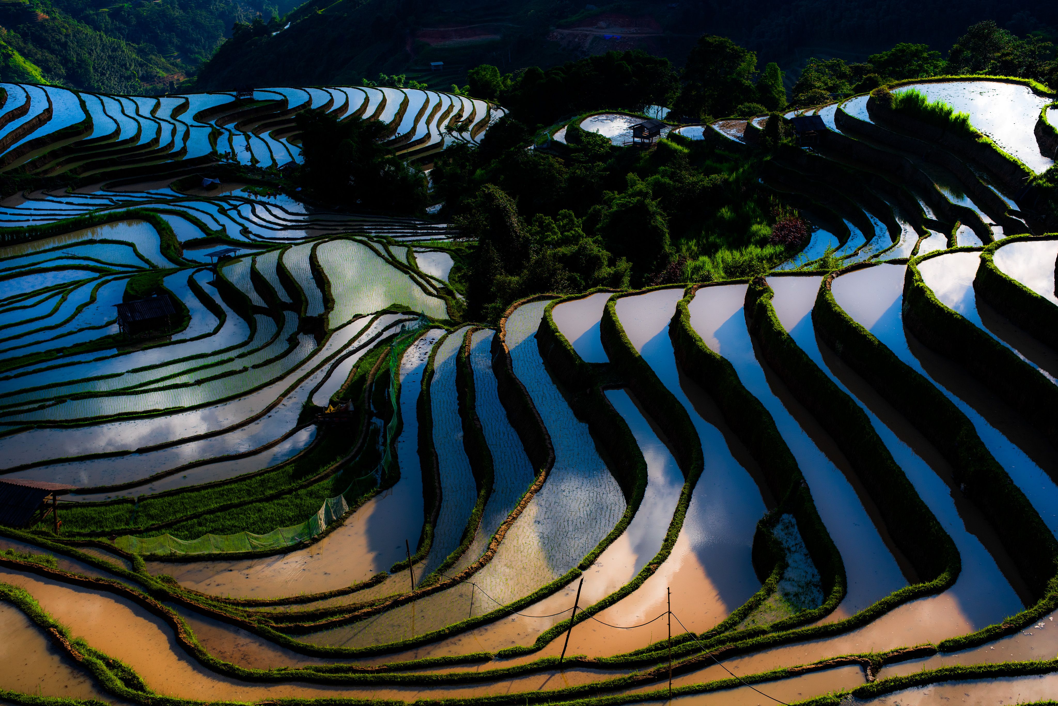 Yuanyang Rice Terraces at Dawn: Photography, Hani Villages & Practical Guide