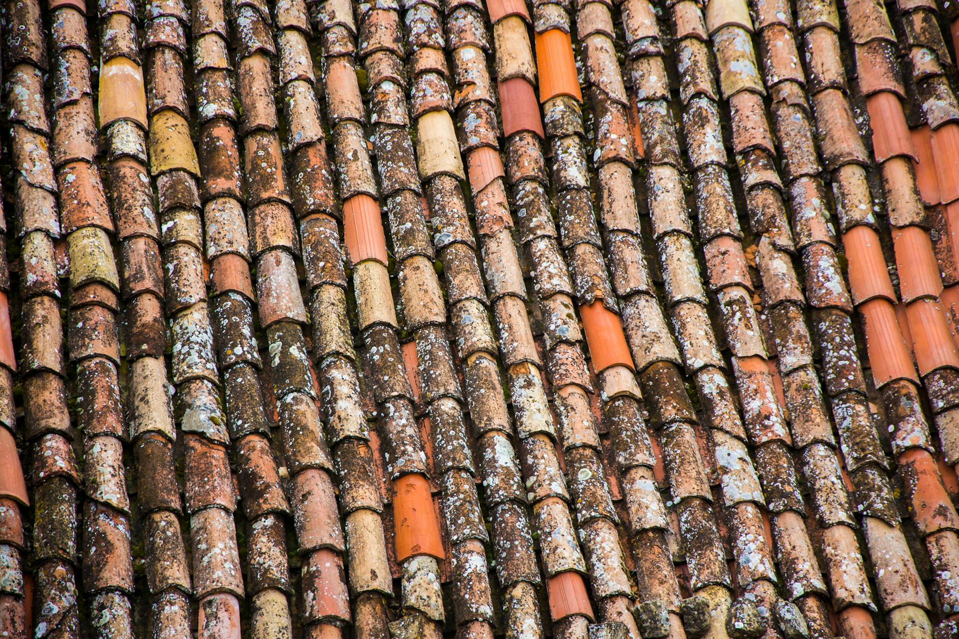 Detailed view of weathered terracotta roof tiles showcasing patterns and textures.