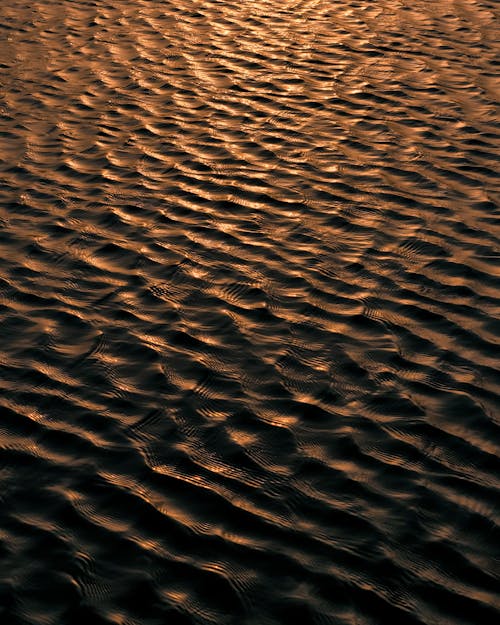wave at sunset