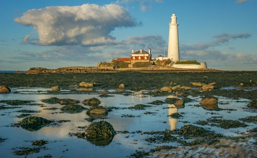 A lighthouse sits on a rocky shore with water and rocks