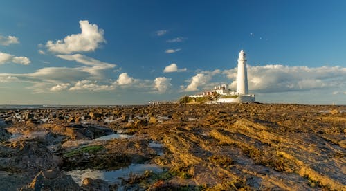 A lighthouse sits on the rocky shoreline
