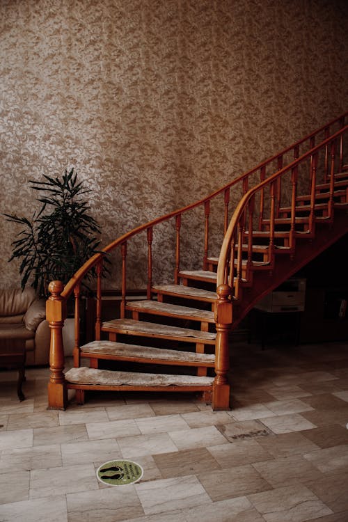 A staircase in a house with a couch and plants