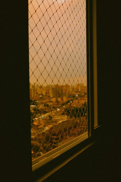 Fotos de stock gratuitas de cielo, ciudad, sol de tarde