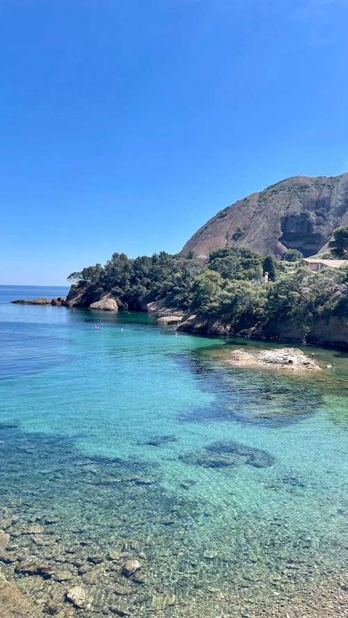 Foto profissional grátis de água, árvore, calanque